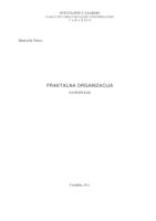 Fraktalna organizacija