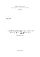 Samoorganizacija i izranjajuće ponašanje u višeagentnim sustavima