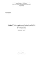 Upravljanje radnom učinkovitošću zaposlenika