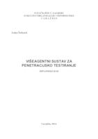 Višeagentni sustav za penetracijsko testiranje