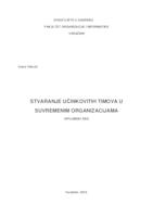 Stvaranje učinkovitih timova u suvremenim organizacijama