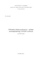 Prihodni ciklus poduzeća – prikaz konceptualnog i fizičkih sustava