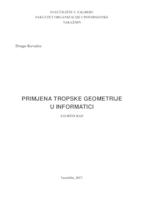 Primjena tropske geometrije u informatici