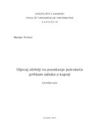 Utjecaj obitelji na ponašanje potrošača prilikom odluke o kupnji