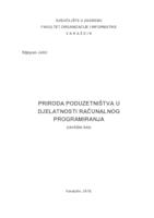 Priroda poduzetništva u djelatnosti računalnog programiranja