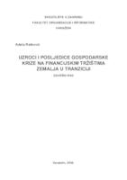 Uzroci i posljedice gospodarske krize na financijska tržišta zemalja u tranziciji