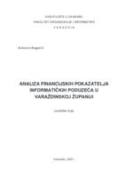 Analiza financijskih pokazatelja informatičkih poduzeća u Varaždinskoj županiji