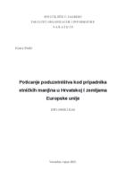 Poticanje poduzetništva kod pripadnika etničkih manjina u Hrvatskoj i zemljama Europske unije