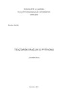 prikaz prve stranice dokumenta Tenzorski račun u Pythonu